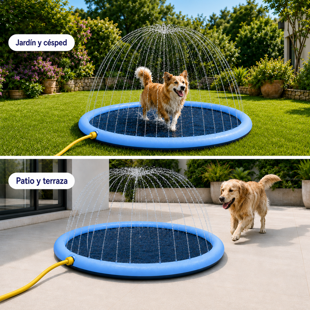 Parque Acuático para Perros